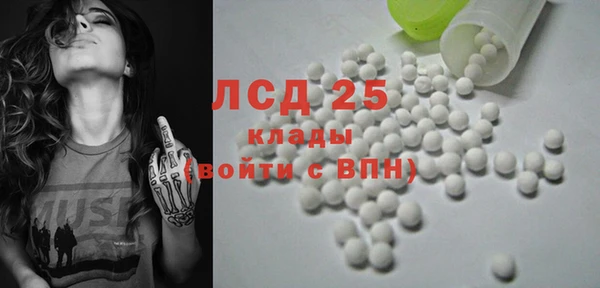 spice Аркадак
