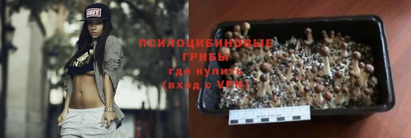 spice Аркадак