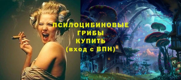 spice Аркадак