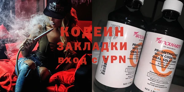 молекула духа Арсеньев