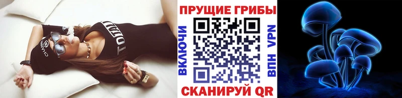 Псилоцибиновые грибы прущие грибы  Балей 